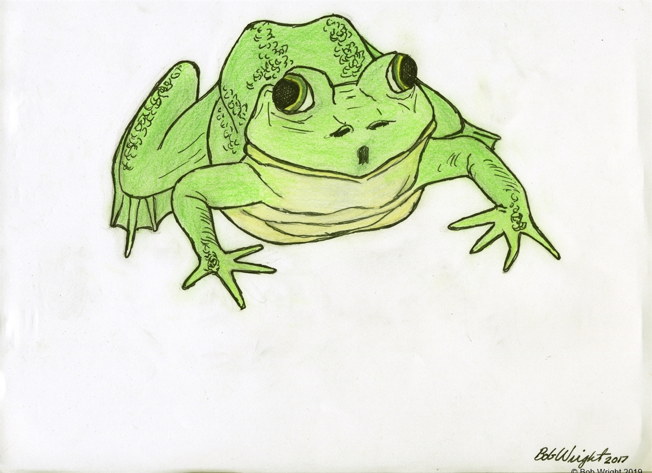 day 969 frog.jpg