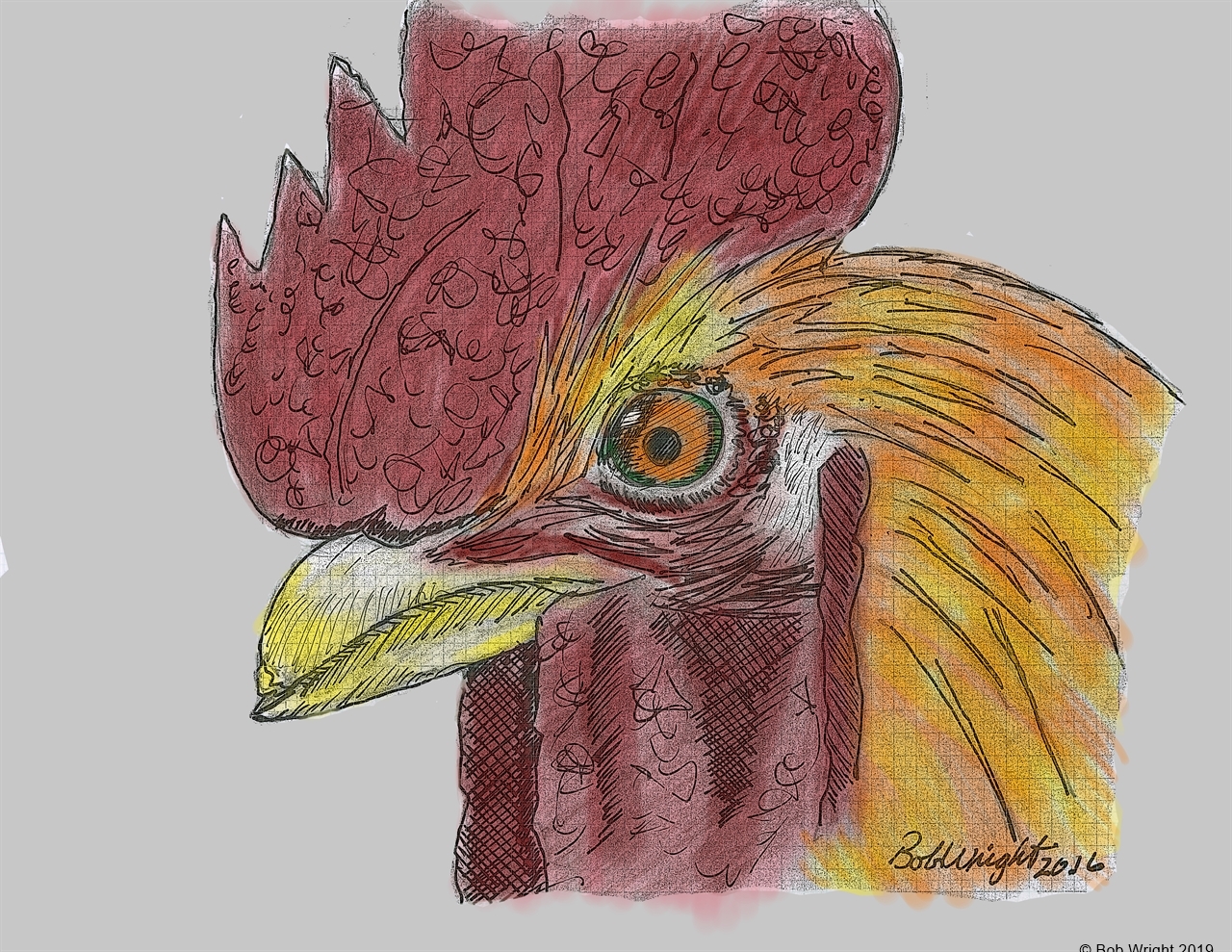 rooster ddc colored.jpg