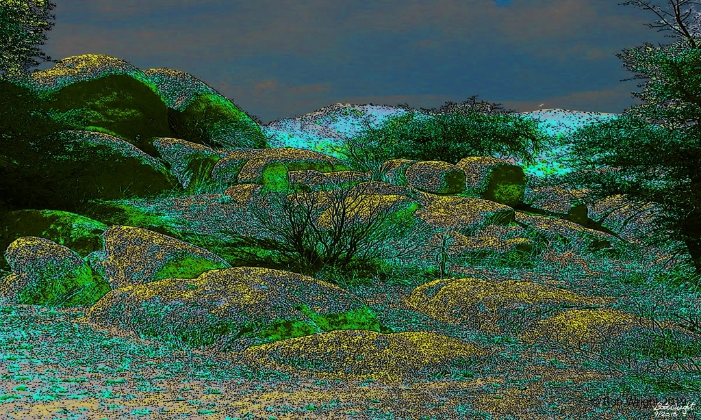landscape boulders.jpg