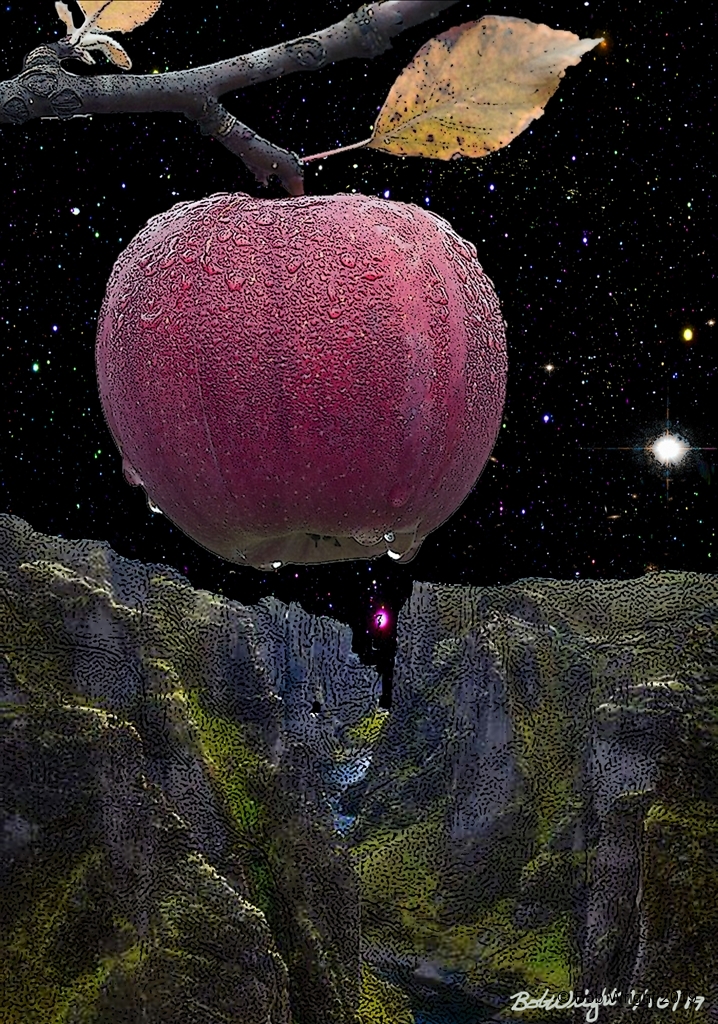 the apples of the stars.jpg
